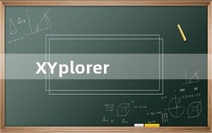 XYplorer_电脑文件管理器 V20.90.0300 官方中文版_XYplorer_电脑文件管理器 V20.90.0