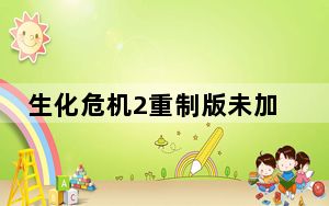 生化危机2重制版未加密补丁 V1.0 CODEX版_生化危机2重制版未加密补丁 V1.0 CODEX版免费下载