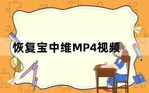 恢复宝中维MP4视频恢复软件 V1.0 免费版_恢复宝中维MP4视频恢复软件 V1.0 免费版免费下载