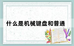 什么是机械键盘和普通键盘_什么是机械键盘