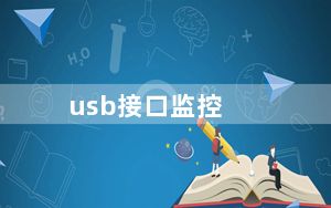 usb接口监控_usb数据采集卡