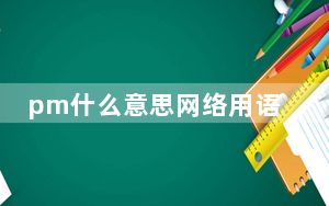 pm什么意思网络用语_pm什么意思