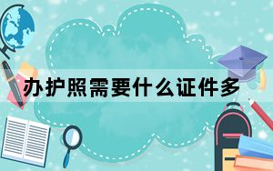 办护照需要什么证件多少钱_办护照需要什么证件