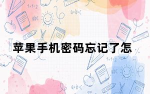 苹果手机密码忘记了怎么办才能解开不用电脑_苹果手机密码忘记了怎么办才能解开