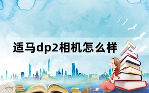 适马dp2相机怎么样_适马dp2