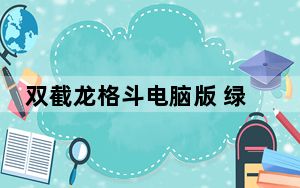 双截龙格斗电脑版 绿色中文版_双截龙格斗电脑版 绿色中文版免费下载