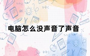 电脑怎么没声音了声音从哪调_电脑怎么没声音了