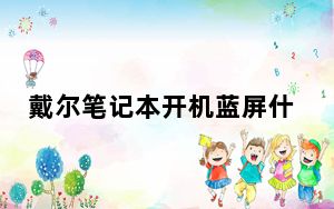 戴尔笔记本开机蓝屏什么原因_戴尔笔记本开机蓝屏