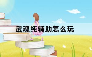 武魂纯辅助怎么玩_武魂纯辅助心得分享