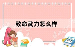 致命武力怎么样_《致命武力2》各职业心得