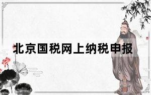 北京国税网上纳税申报系统 V2.0 官方正式版_北京国税网上纳税申报系统 V2.0 官方正式版免费下载