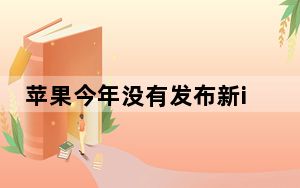 苹果今年没有发布新iPadMini的计划