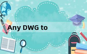 Any DWG to PDF Converter V2020 汉化免费版_Any DWG to PDF Converte