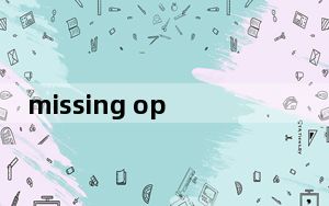 missing operating system笔记本_MISSING OPERATING SYSTEM