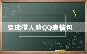 猥琐猫人脸QQ表情包 +75 免费版_猥琐猫人脸QQ表情包 +75 免费版免费下载
