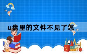 u盘里的文件不见了怎么修复_u盘里的文件不见了