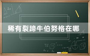 稀有裂蹄牛伯努格在哪_稀有裂蹄牛伯努格坐标