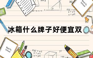 冰箱什么牌子好便宜双开门_冰箱什么牌子好