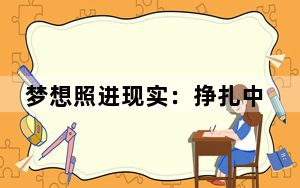 梦想照进现实:挣扎中的国产操作系统