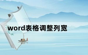 word表格调整列宽列高_word表格调整