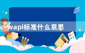 wapi标准什么意思_wapi是什么意思