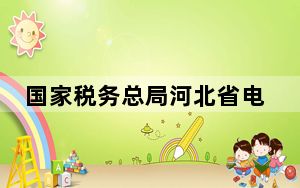 国家税务总局河北省电子税务局客户端 V2.0 官方版_国家税务总局河北省电子税务局客户端 V2.0 官方版免费下载
