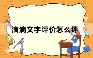 滴滴文字评价怎么评_滴滴文字评价没有了