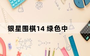 银星围棋14 绿色中文版_银星围棋14 绿色中文版免费下载