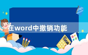 在word中撤销功能的快捷键是什么_在 Word 中撤销功能的快捷键是什么