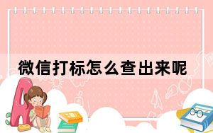 微信打标怎么查出来呢_微信打标什么时候解除