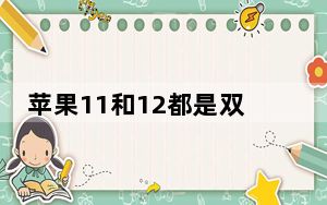 苹果11和12都是双层主板_苹果11是不是双层主板