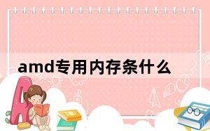 amd专用内存条什么意思_amd专用内存