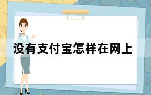 没有支付宝怎样在网上买东西_在支付宝买的东西在哪里看到