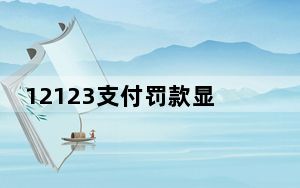 12123支付罚款显示空白_12123支付界面空白