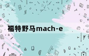 福特野马mach-e国产什么时候交付_福特野马Mach-E计时细节揭晓