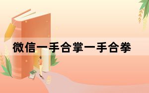 微信一手合掌一手合拳是什么意思_微信双手合掌是什么意思