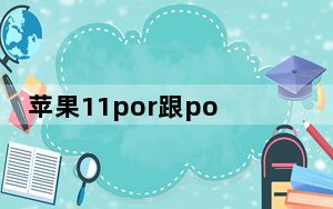 苹果11por跟pormax的区别_苹果11por和pormax区别