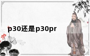 p30还是p30pro拍照好_华为p30和p30pro的拍照效果差别大吗