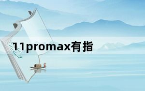 11promax有指纹解锁吗_苹果11pro支持指纹解锁吗