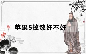 苹果5掉漆好不好_苹果5掉漆