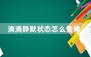 滴滴静默状态怎么查询_什么是滴滴静默状态