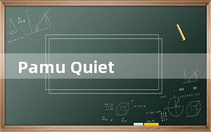 Pamu Quiet True Wireless 耳塞评测