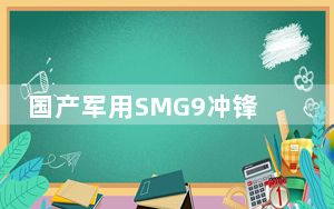 国产军用SMG9冲锋枪销往欧洲市场_smg9。