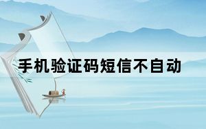 手机验证码短信不自动弹出_手机短信验证码不弹出