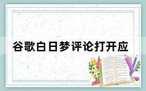 谷歌白日梦评论打开应用程序