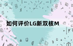 如何评价LG新双核M1如何配备W280A