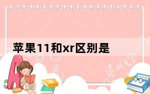 苹果11和xr区别是不是改机_苹果11和xr区别