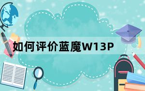 如何评价蓝魔W13Pro和泰威A10双核?