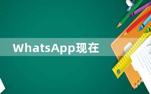 WhatsApp现在支持群组语音视频通话