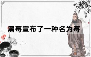 黑莓宣布了一种名为莓数字工作场所的新解决方案